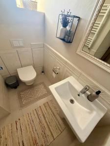 a bathroom with a sink and a toilet and a mirror at Pensiunea Casa Veche in Palanca