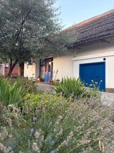 a house with a blue door and some plants at Pensiunea Casa Veche in Palanca