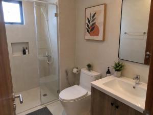 a bathroom with a shower and a toilet and a sink at Terrace SSS Homes in Araguaína