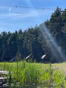 a field with grass and a barn in the background at Vaide kempings in Vaide