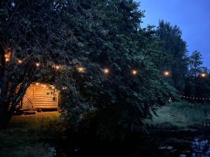 a cabin in the woods at night with lights at Vaide kempings in Vaide +4 photos