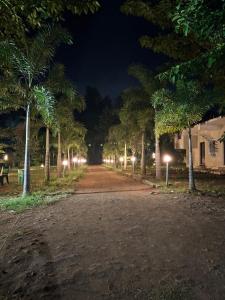 a dirt road with palm trees at night at Holidaypark Resort Araku in Araku +6 photos
