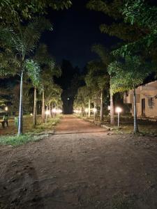 a dirt road with palm trees at night at Holidaypark Resort Araku in Araku