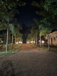 a dirt road with palm trees at night at Holidaypark Resort Araku in Araku