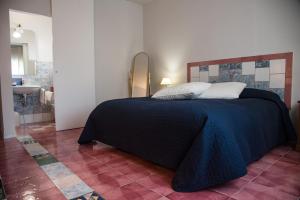 リオネーロ・イン・ヴルトゥレにあるVia Roma 205のベッドルーム1室(大型ベッド1台、青い毛布付)