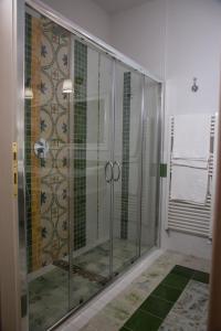 リオネーロ・イン・ヴルトゥレにあるVia Roma 205のバスルーム(ガラスドア付きのシャワー付)