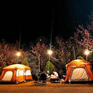 a group of people sitting outside of tents at night at กลางขุนเขา klang khun khao in Ban Na Yang