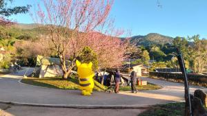 a large yellow stuffed animal standing on a street at กลางขุนเขา klang khun khao in Ban Na Yang +2 photos
