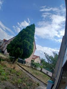 a large green tree in front of a building at Auberge leon xiv in Sarralbe