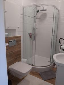 a bathroom with a shower and a toilet and a sink at Kameralny Apartament w Centrum in Szczytno +6 photos