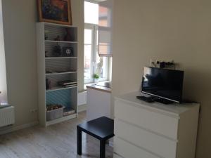Uma TV ou centro de entretenimento em Igo apartment Uzupis