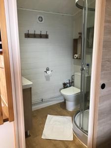a bathroom with a toilet and a glass shower at studio P ti koin trankil in La Possession +25 photos