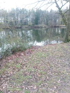 a body of water with a tree in front of it at house in Saint-André-des-Eaux +2 photos