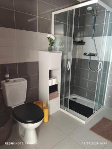 a bathroom with a toilet and a glass shower at La Cabane du Noyer in Morée