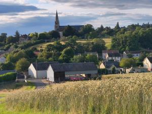 a small town with a church and a field of grass at La Cabane du Noyer in Morée +21 photos