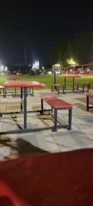 a group of picnic tables in a park at night at تجريبي in Şan‘āʼ