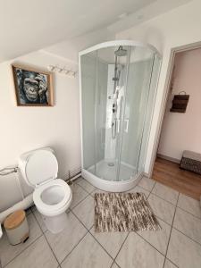a bathroom with a shower with a toilet and a rug at Appartement neuf à louer in Moyenmoutier