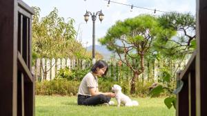 a woman sitting on the grass with a white dog at Gapyeong Art Pension in Gapyeong