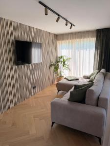 a living room with a couch and a flat screen tv at Meža māja in Ģipka