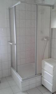 a shower with a glass door in a bathroom at Ferienwohnung Am oberen Hexenstieg in Altenbrak +11 photos