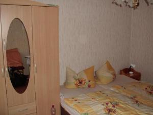 a bedroom with a bed with pillows and a mirror at Ferienwohnung Am oberen Hexenstieg in Altenbrak