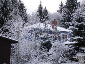 a blue house with snow covered trees and trees at Ferienwohnung Am oberen Hexenstieg in Altenbrak