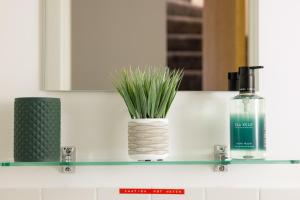 a bathroom shelf with a bottle of soap and a plant at Mowbray's Nook, Shetland Islands in Lerwick +14 photos