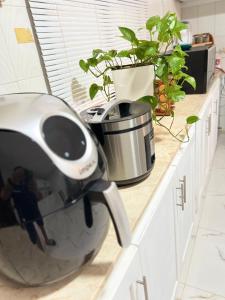 a mixer sitting on a kitchen counter with plants at Waterfront vip master room in Muscat +21 photos