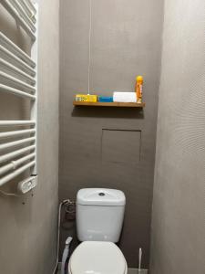a small bathroom with a white toilet and a shelf at Le cocon-Romania in Châteauroux