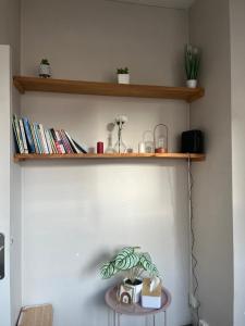 a shelf on a wall with a plant on a table at Le cocon-Romania in Châteauroux +3 photos