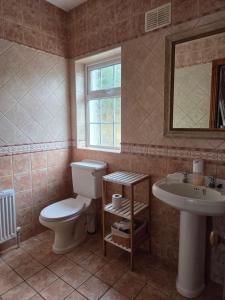 a bathroom with a toilet and a sink at Lawnside Retreat in Mullinavat +99 photos