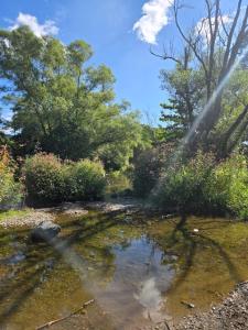 a garden with a pond with a sprinkler at Buchenau an der Lahn 