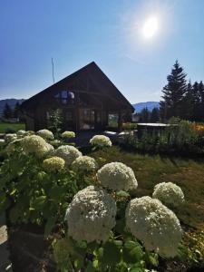 a bunch of white flowers in front of a building at Căsuțele MukSot in Vatra Dornei