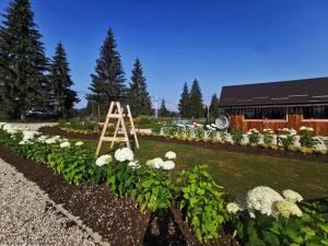 a garden with white flowers and a wooden ladder at Căsuțele MukSot in Vatra Dornei +23 photos