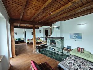 a living room with a fireplace and a couch at Chabarukhi Gudauri Truso in Gudauri