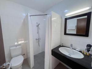 a bathroom with a toilet and a sink and a shower at Chabarukhi Gudauri Truso in Gudauri +60 photos
