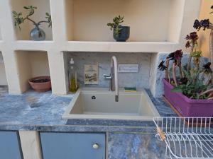 a kitchen sink in a counter with flowers and plants at Dieu Bé Nice in Nice +75 photos