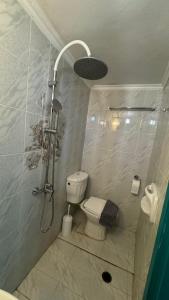 a bathroom with a shower with a toilet in it at Kamares in Tholária +5 photos