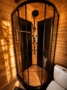 a shower in a wooden room with a toilet at Chata Nikki in Vrbno pod Pradědem