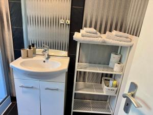 a bathroom with a sink and a mirror and towels at Mini Apartment mit Garten und Küche in Ilbenstadt