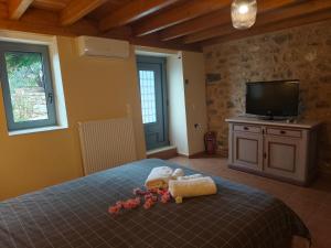 a bedroom with a bed and a flat screen tv at Atelier in Pákia
