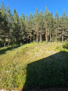 a grassy field with trees in the background at VIG 2 in Njegovuđa +21 photos