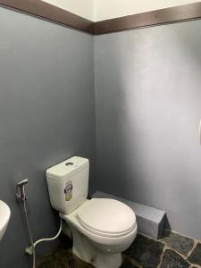 a bathroom with a white toilet and a sink at Grand Hotel Villa Ella in Bandarawela