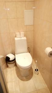 エカテリンブルクにあるApartment on Ispanskih Rabochih 35のバスルーム(白いトイレ付)が備わります。