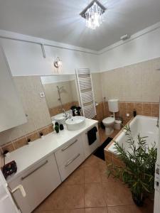 a bathroom with a sink and a tub and a toilet at Picúr és Manó Apartmanjai- Picúr Apartman és Manó Apartman in Baja +15 photos