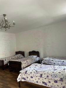a room with three beds and a chandelier at Family hotel ucha in Iprari +22 photos