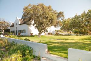 a white house with a tree in the yard at The Hazendal Hotel and Spa in Stellenbosch