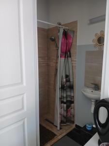 a shower stall in a bathroom with a sink at Le Trait d'union - Studio César, 2éme Étage in Romilly-sur-Seine