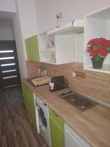 a kitchen with green and white cabinets and a washing machine at apartament Karla Indigo in Oradea