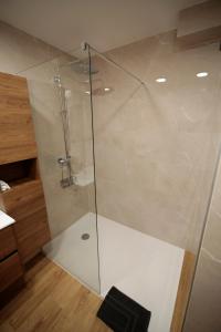 a shower with a glass door in a bathroom at Maison Camélia in Paliseul +10 photos